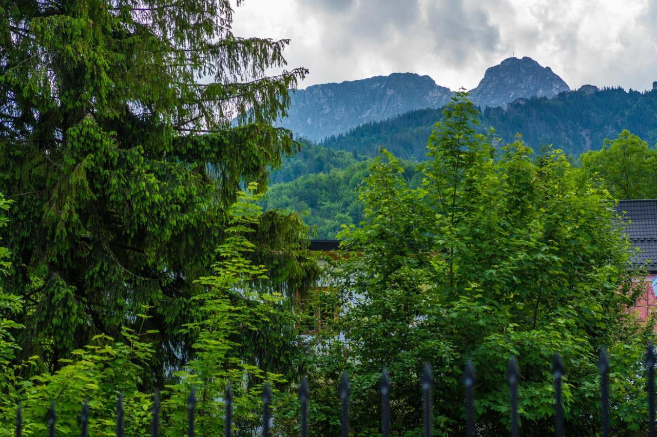 Pokoje Z Widokiem Na Gory I Prywatny Domek Z Zadaszona Altana - Grillem I Ogniskiem. ซาโกปาเน ภายนอก รูปภาพ