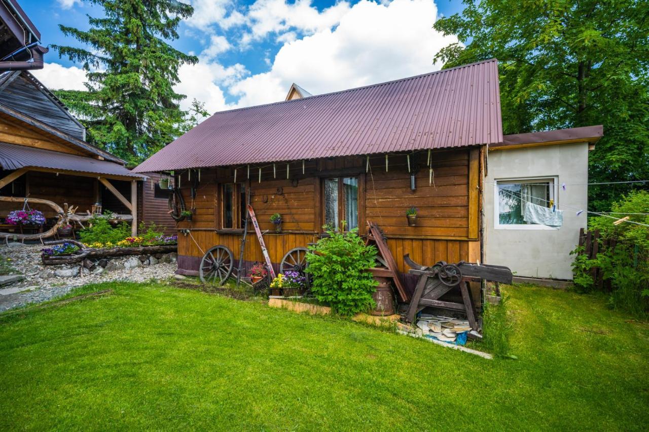 Pokoje Z Widokiem Na Gory I Prywatny Domek Z Zadaszona Altana - Grillem I Ogniskiem. ซาโกปาเน ภายนอก รูปภาพ